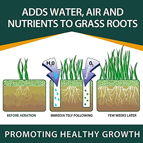 Walensee Rasenbelüfter Rasenlüfter Vertikutierer Rasen für Dein Rasen oder Hof - 6